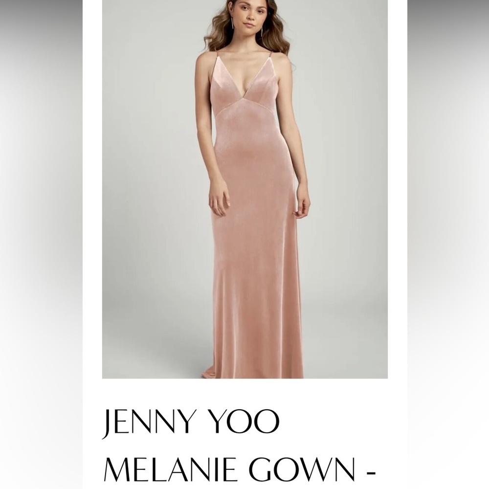 Jenny Yoo Melanie Dress Prosecco Stretch Velvet dress NWT